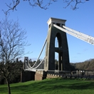 Green shoots bloom in Bristol