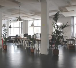 Open plan vs traditional office space: what’s right for your business?