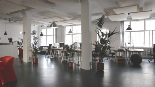 Open plan vs traditional office space: what’s right for your business?