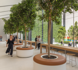 What is biophilic design and why is it increasingly popular?
