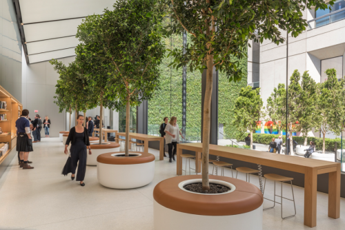 What is biophilic design and why is it increasingly popular?